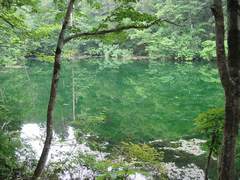 龍ヶ窪-写真1