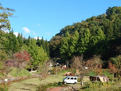 中浦ヒメサユリ森林公園-写真2