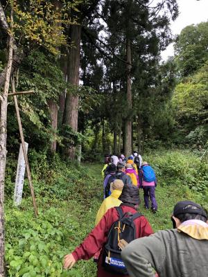 山道を歩く様子