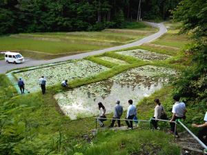現地視察の様子