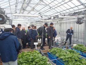 冷熱わさび栽培説明