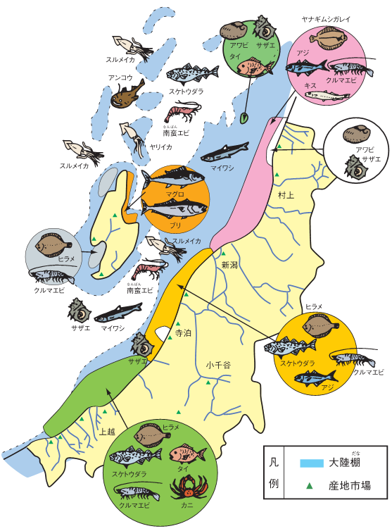 地域別でとれる魚を表した地図