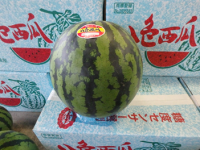 すいかの写真1