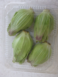 ふきのとうの写真1