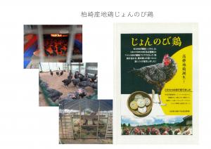 じょんのび鳥の画像