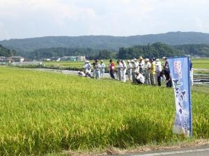 葉月実りの画像