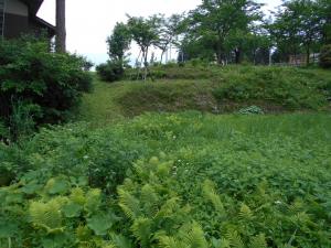 現地視察の様子3