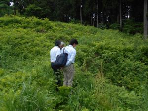 現地視察の様子4