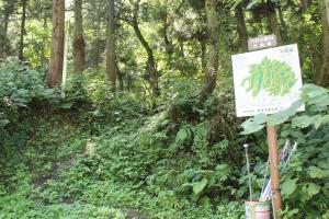 八石山登山道入り口画像