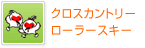 クロスカントリー、ローラースキー