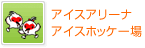 アイスアリーナ、アイスホッケー場