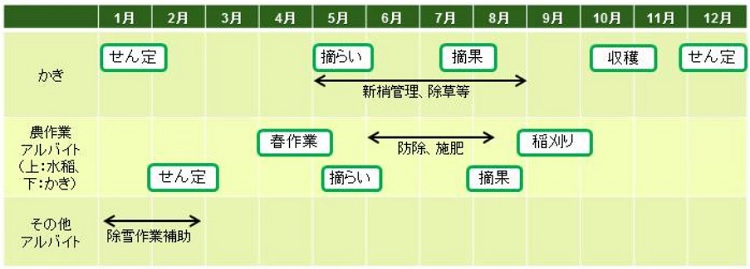 「１年間の主な農作業」の画像