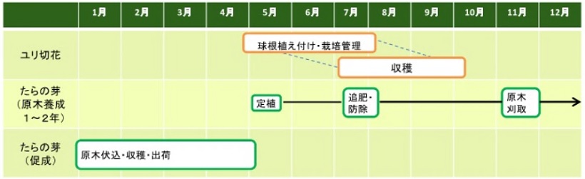 「１年間の主な農作業」の画像