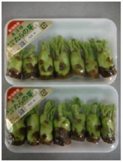 「たらの芽」の画像