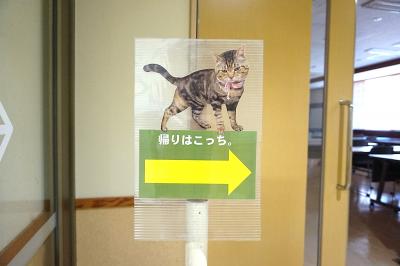 おかえり