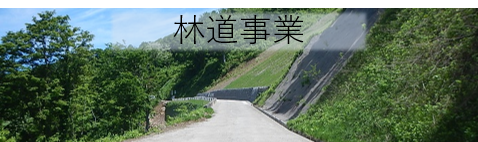 林道