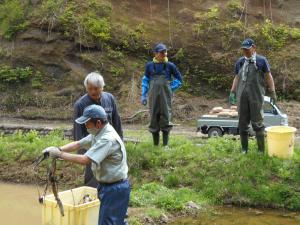 レンコンの準備です