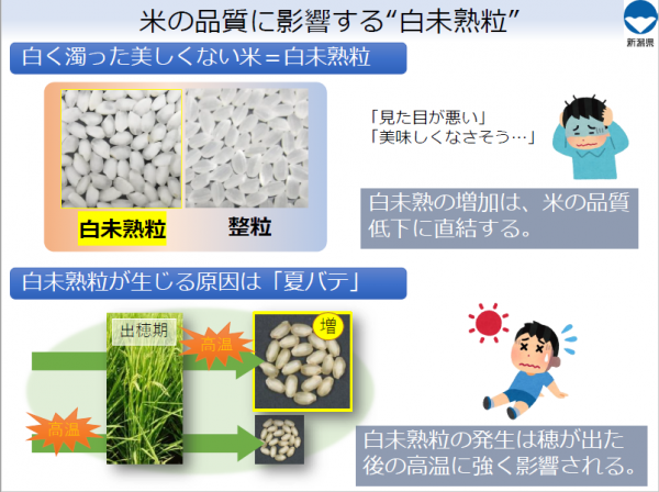 研究の背景を説明する図です。