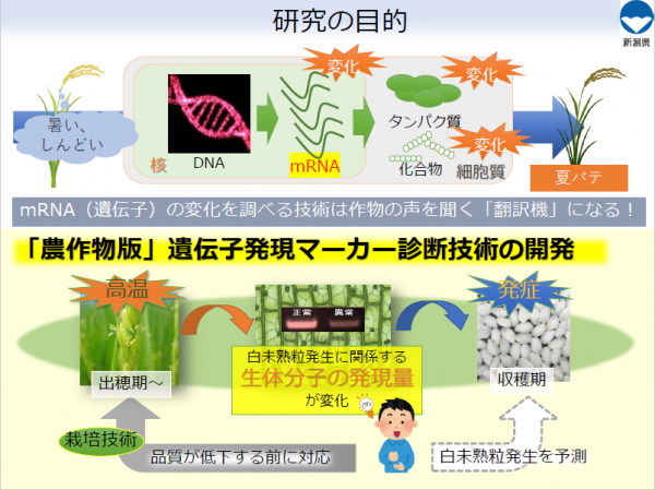 特許技術の説明図です。