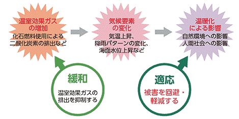 緩和と適応jは車の両輪