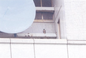 同時刻にパラボラ室で休む幼鳥(2)（6月21日）