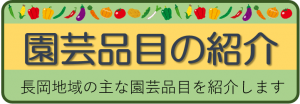園芸品目の紹介