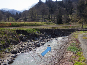 上流から下流を望む。