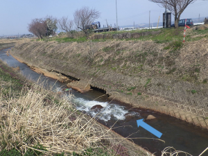 上流から下流を望む。