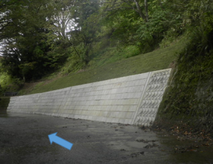 上流から下流を望む。