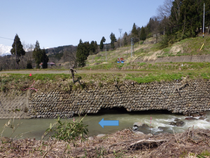 対岸から右岸を望む。