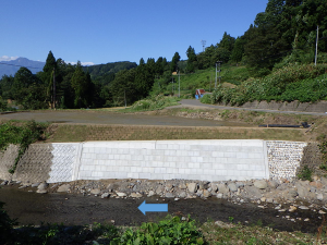 対岸から右岸を望む。