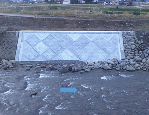 対岸から左岸を望む。