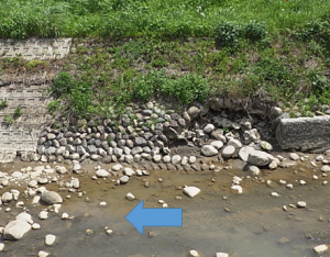 対岸から右岸を望む。