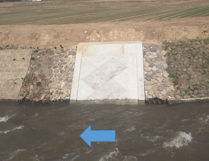 対岸から右岸を望む。