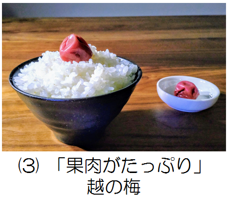 越の梅記事へのリンク画像