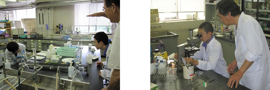 平成22年度No.1の画像