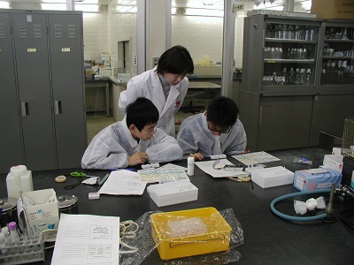 ウイルス科平成19年度の画像