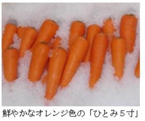 鮮やかなオレンジ色のひとみ5寸の写真です