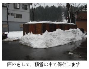 にんじんを雪中貯蔵している写真です