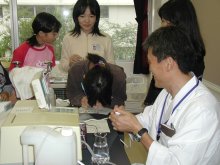 吸光度を測定している写真 