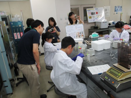 コース1：パン酵母を使って実験してみようの画像