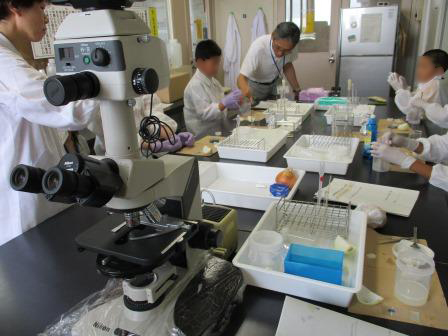 コース2：細胞からDNAをとりだしてみようの画像