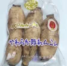大口れんこんの紹介