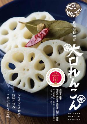 大口れんこんの写真です