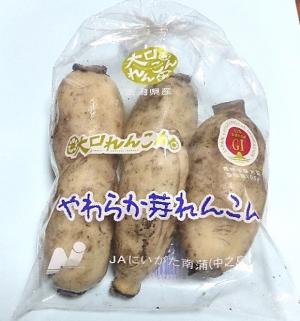 芽れんこんの写真
