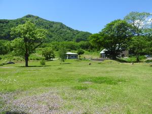 キャンプ場