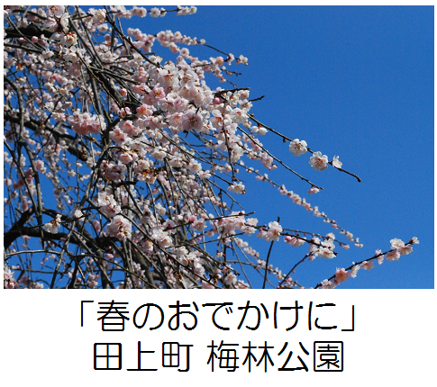 田上町梅林公園記事へのリンク画像