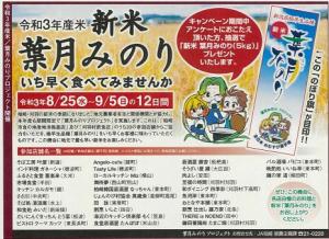 葉月みのりプロジェクト広告