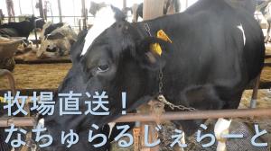 動画　なかの牧場の自家産生乳ジェラートのサムネイル