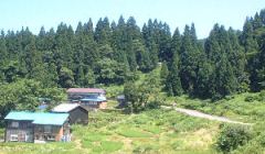 山村地域の活性化の画像